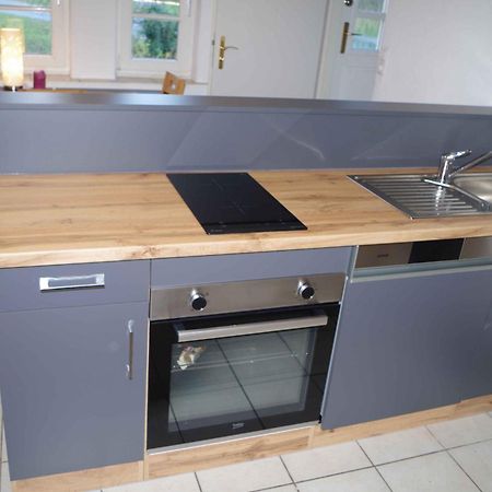 Ferien-Wohnung Am Menzer-Park Neckargemund Ngoại thất bức ảnh